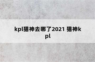 kpl猫神去哪了2021 猫神kpl